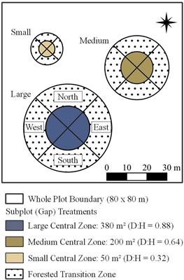 Tree regeneration and spatial patterning among midtolerant tree species following gap-based harvesting in a temperate hardwood forest